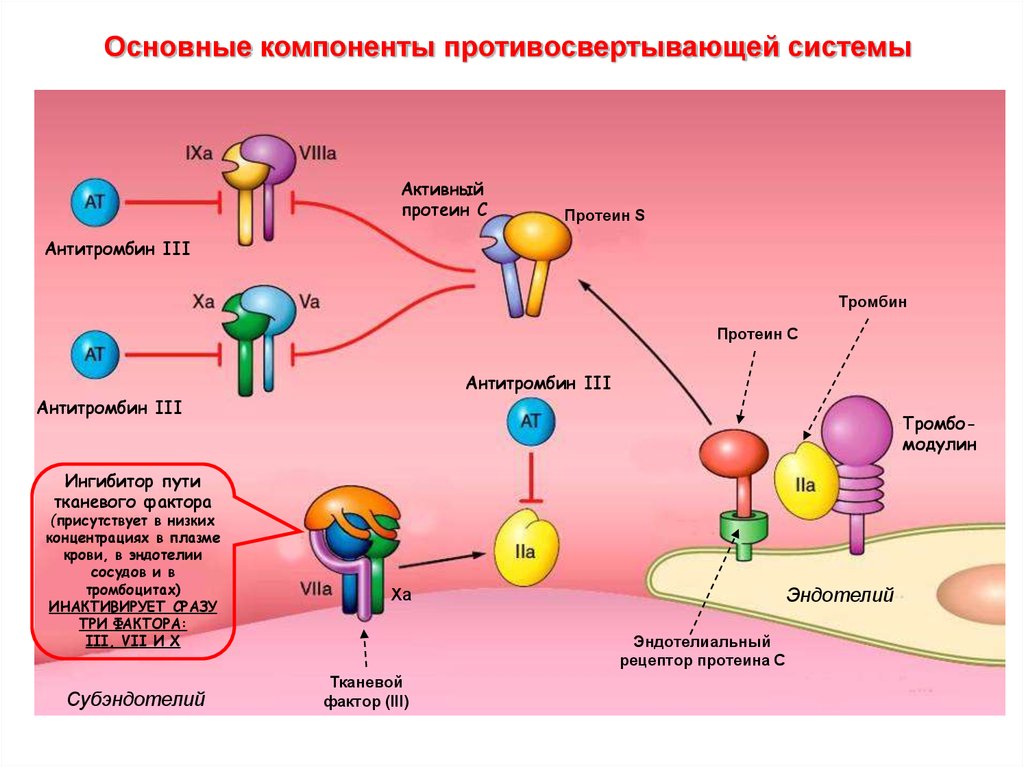 Схема противосвертывающей системы